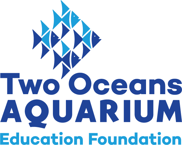Two Oceans Aquarium Education Foundation